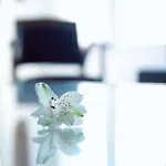 Rue De Ponthieu Central Furnished Apartment